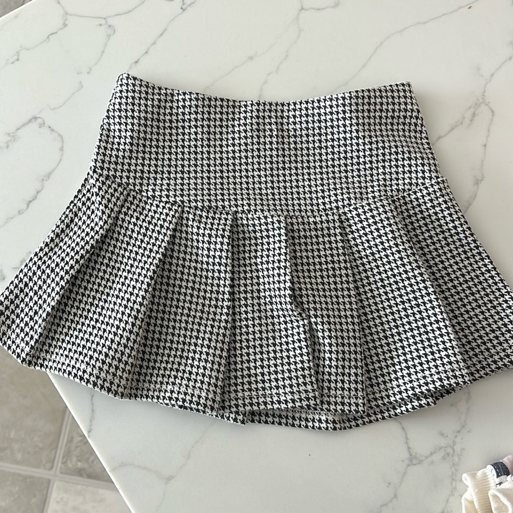 Zara Skater Skirt